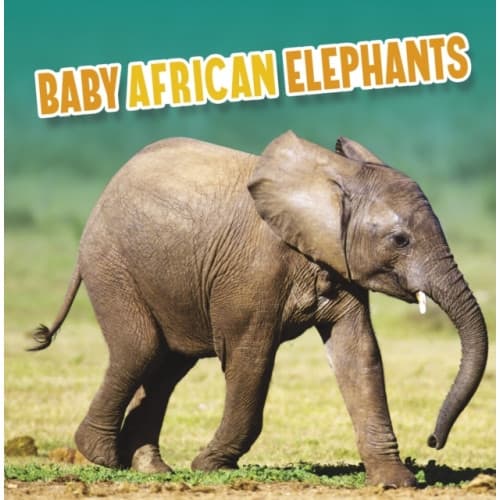 Baby African Elephants (inbunden, eng)