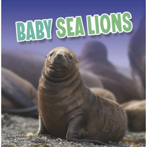 Baby Sea Lions (inbunden, eng)