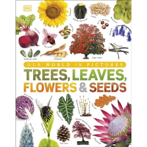 Our World in Pictures: Trees, Leaves, Flowers & Seeds (inbunden, eng)