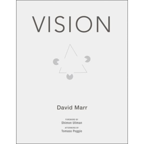 Vision (häftad, eng)