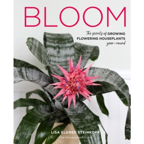 Bloom (inbunden, eng)