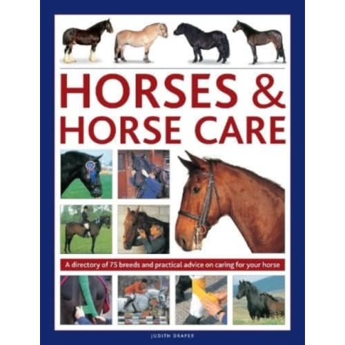Horses & Horse Care (inbunden, eng)