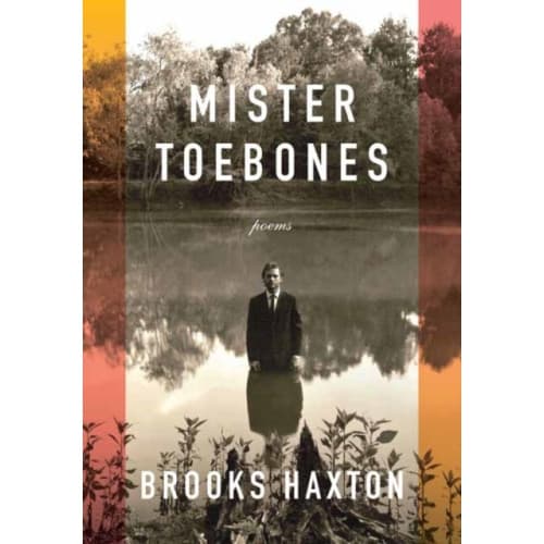 Mister Toebones (inbunden, eng)