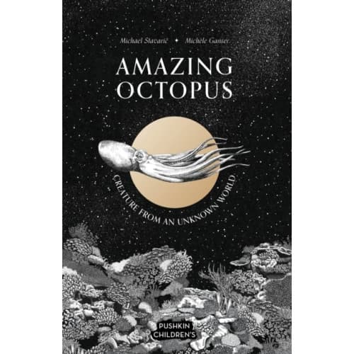 Amazing Octopus (inbunden, eng)