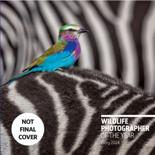 Wildlife Photographer of the Year: Desk Diary 2024 (inbunden, eng)