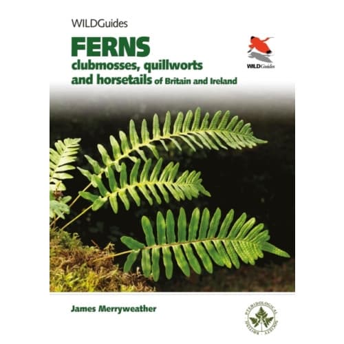 Ferns (häftad, eng)
