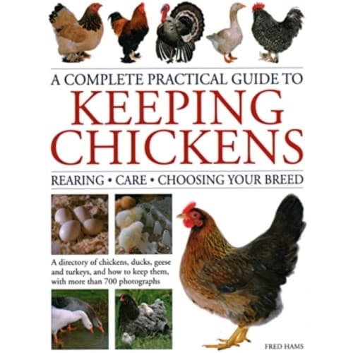 Keeping Chickens, Complete Practical Guide to (inbunden, eng)