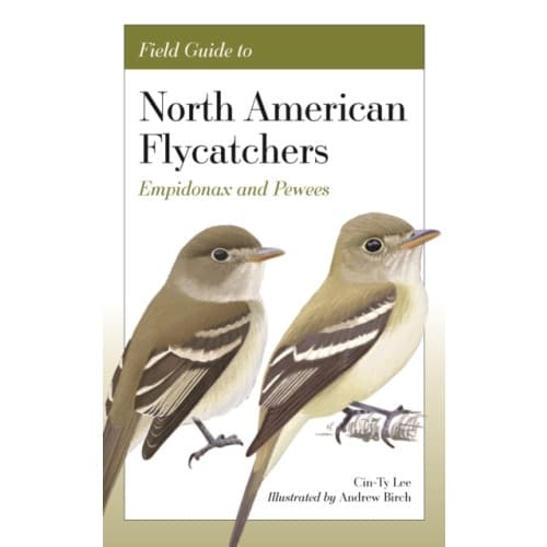 Field Guide to North American Flycatchers (häftad, eng)