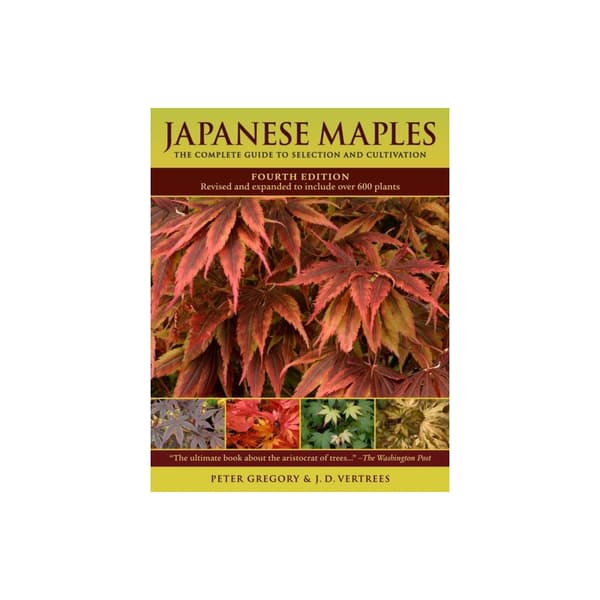 Japanese Maples (inbunden, eng)