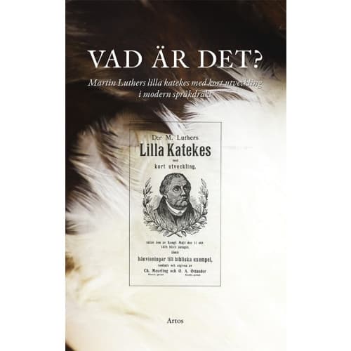 Vad är det? : Martin Luthers lilla katekes med kort utveckling i modern språkdräkt (bok, danskt band)