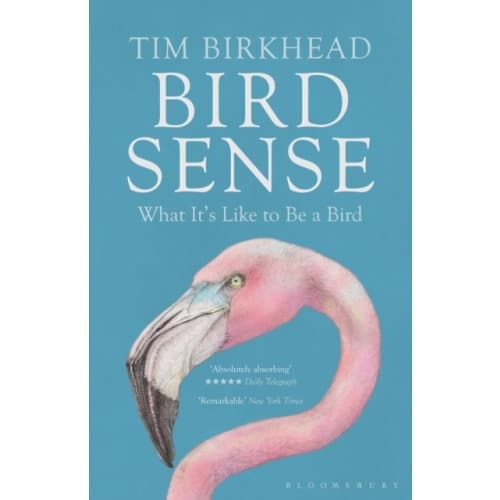 Bird Sense (häftad, eng)