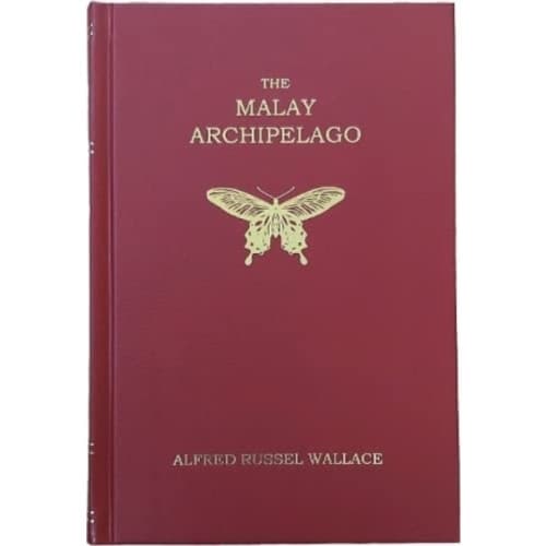 The Malay Archipelago (inbunden, eng)