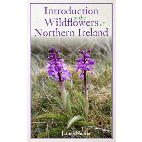 Introduction to the Wildflowers of Northern Ireland (häftad, eng)
