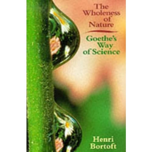 The Wholeness of Nature (häftad, eng)