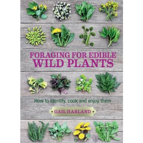 Foraging for Edible Wild Plants (häftad, eng)