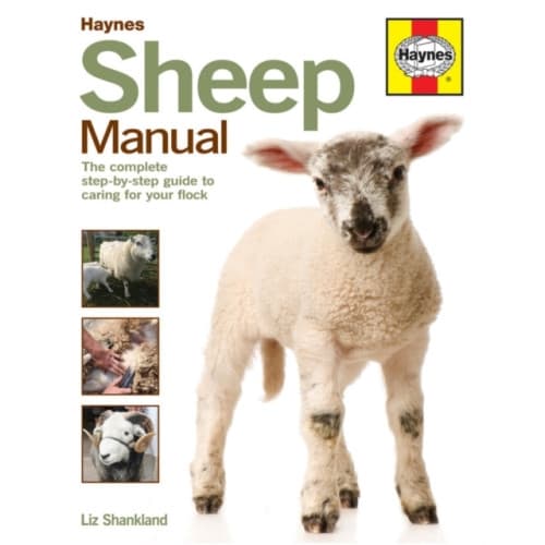 Sheep Manual (inbunden, eng)