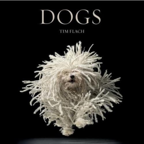 Dogs (inbunden, eng)