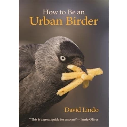 How to Be an Urban Birder (häftad, eng)