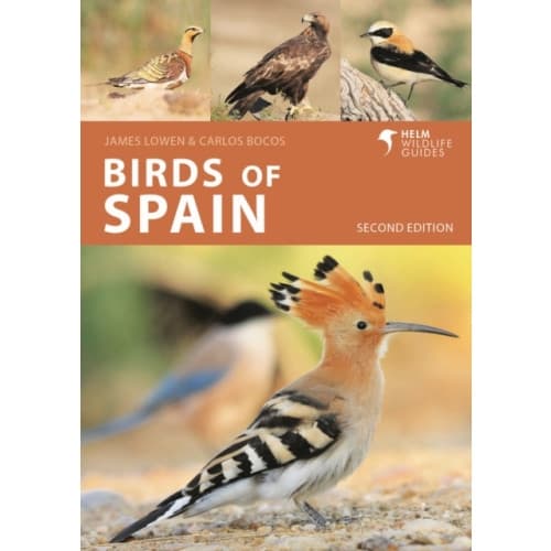Birds of Spain (häftad, eng)
