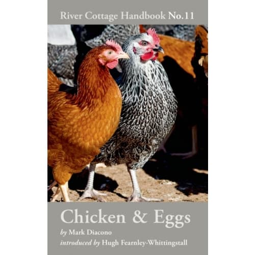 Chicken & Eggs (inbunden, eng)