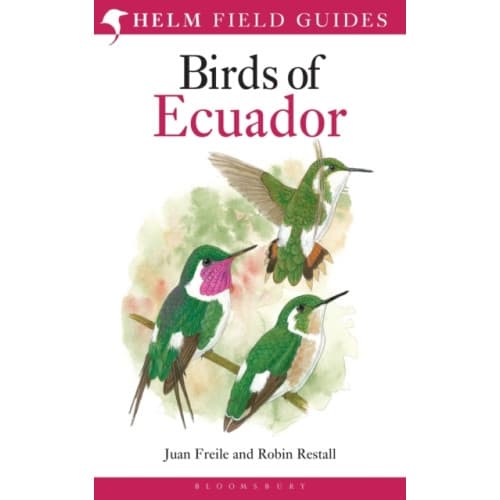 Field Guide to the Birds of Ecuador (häftad, eng)