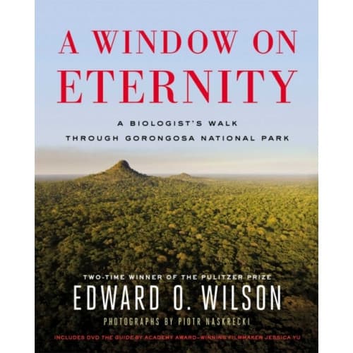 A Window on Eternity (inbunden, eng)