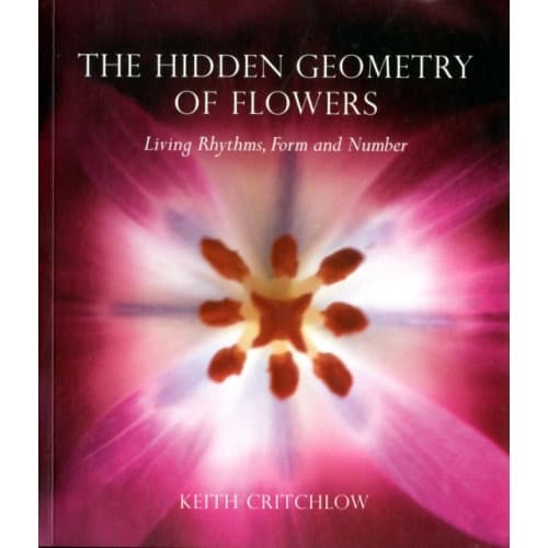 The Hidden Geometry of Flowers (häftad, eng)