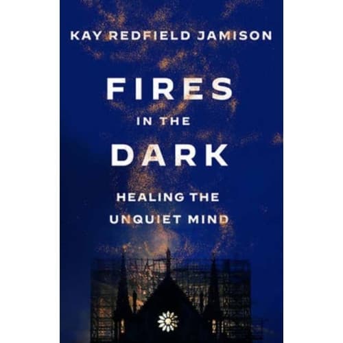 Fires in the Dark (häftad, eng)