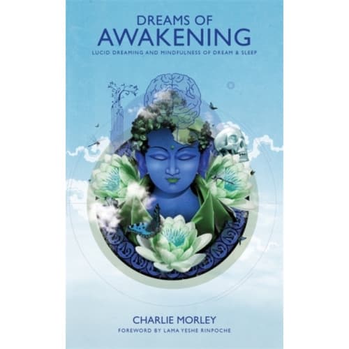 Dreams of Awakening (häftad, eng)
