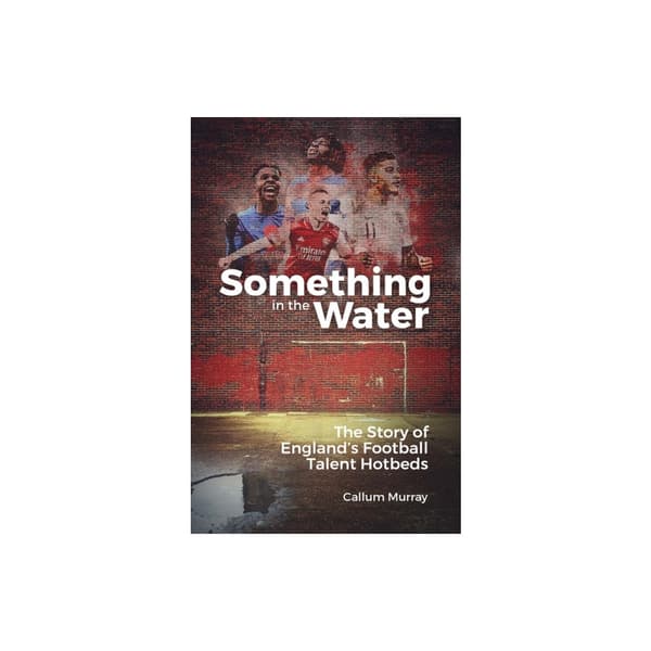 Something in the Water (inbunden, eng)