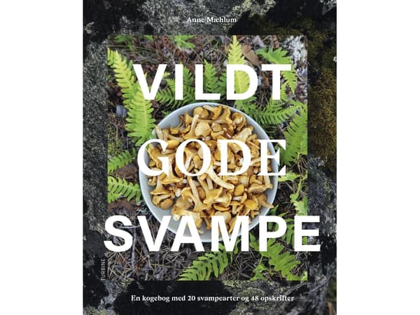 Vildt gode svampe | Anne Mæhlum | Språk: Dansk