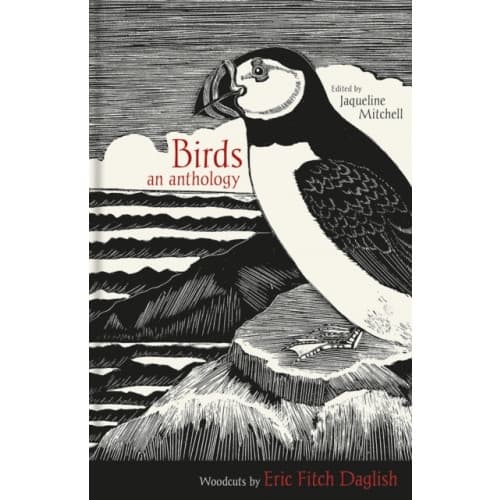 Birds (inbunden, eng)