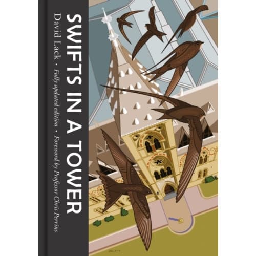 Swifts in a Tower (inbunden, eng)