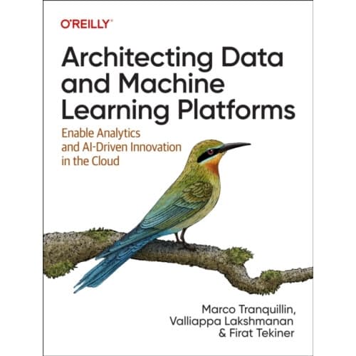 Architecting Data and Machine Learning Platforms (häftad, eng)