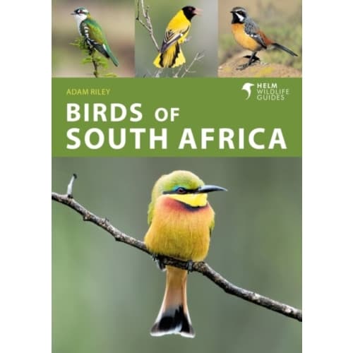 Birds of South Africa (häftad, eng)