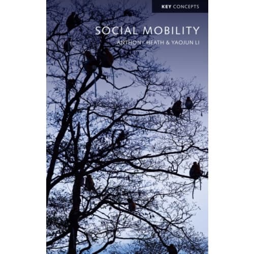 Social Mobility (häftad, eng)