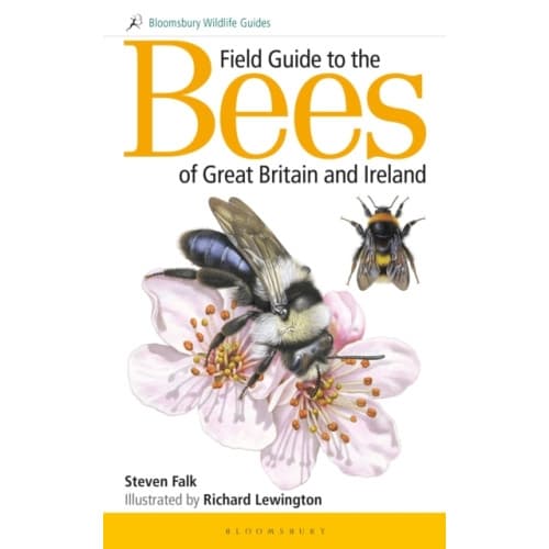 Field Guide to the Bees of Great Britain and Ireland (häftad, eng)