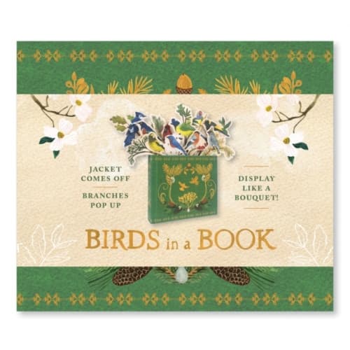 Birds in a Book (A Bouquet in a Book): Jacket Comes Off. Branches Pop Up. Display Like a Bouquet! (inbunden, eng)