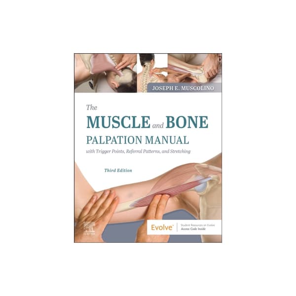 The Muscle and Bone Palpation Manual with Trigger Points, Referral Patterns and Stretching (häftad, eng)