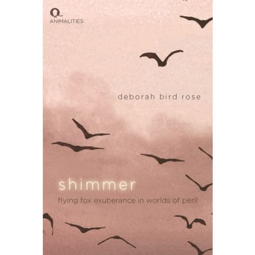Shimmer (häftad, eng)