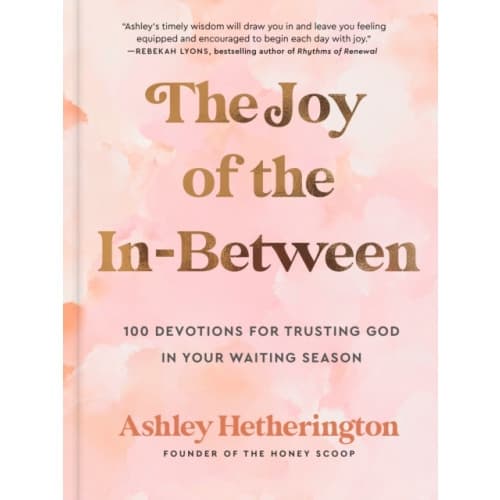 The Joy of the In-Between (inbunden, eng)