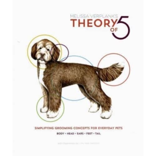 Theory Of 5 (häftad, eng)