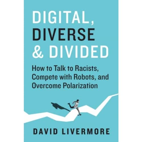 Digital, Diverse & Divided (inbunden, eng)