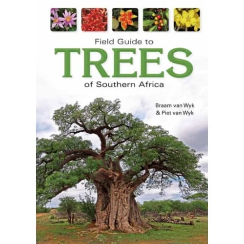 Field Guide to Trees of Southern Africa (häftad, eng)