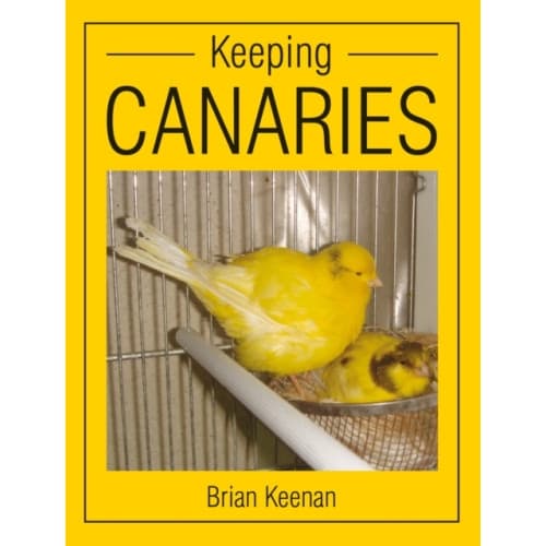 Keeping Canaries (häftad, eng)