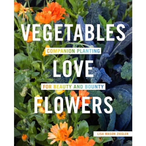 Vegetables Love Flowers (häftad, eng)