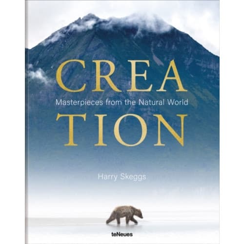 Creation (inbunden, eng)
