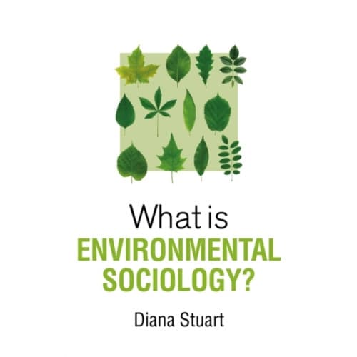 What is Environmental Sociology? (häftad, eng)