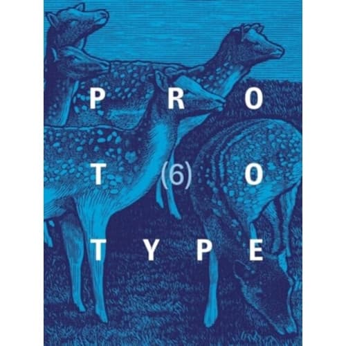 PROTOTYPE 6 (häftad, eng)