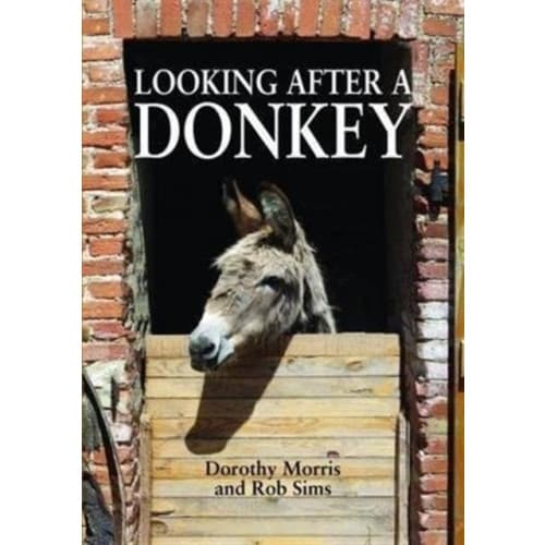 Looking After a Donkey (häftad, eng)